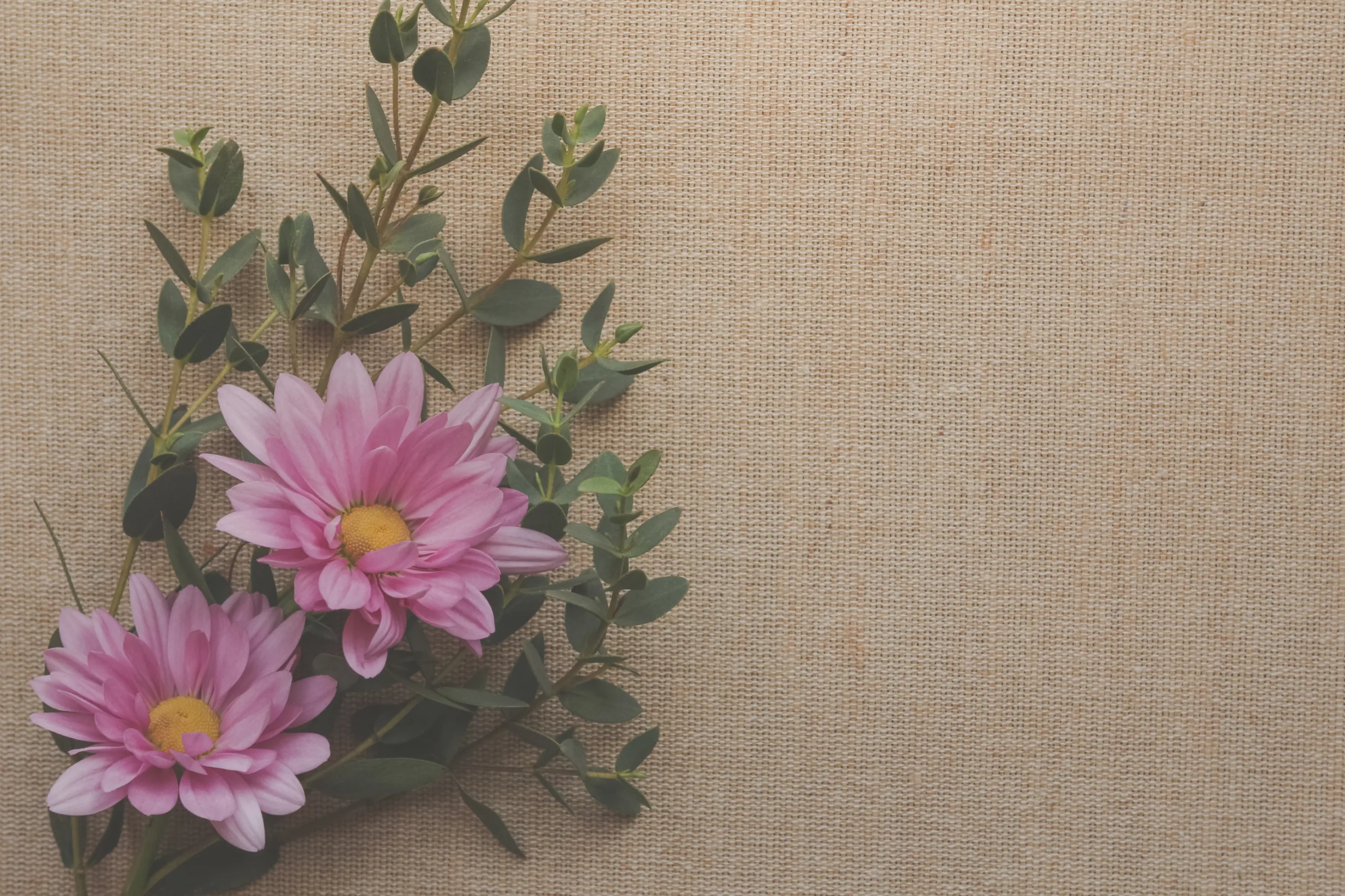 Helping Women Flourish